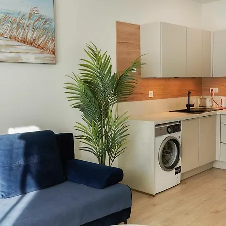 아파트 Elisabeth Blue With Parking 부다페스트